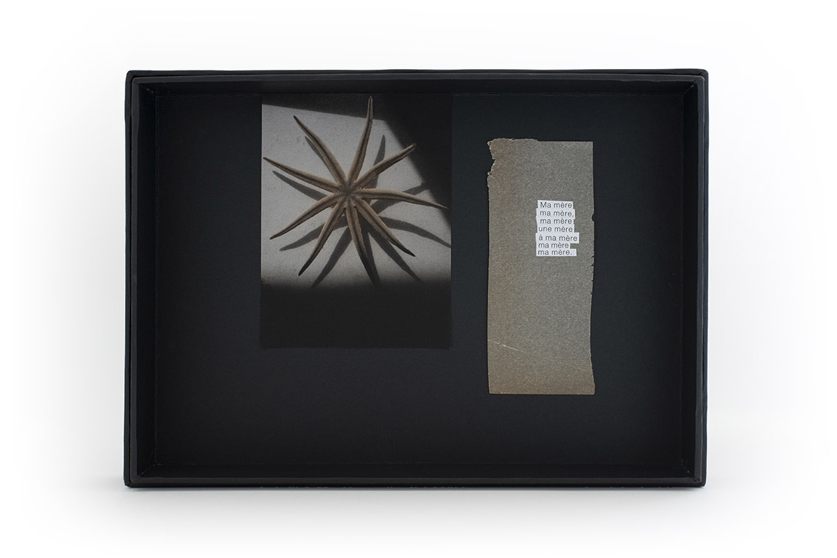 Étoile de mer, ombre et lumière, tirage papier kozo, hommage à la mère.