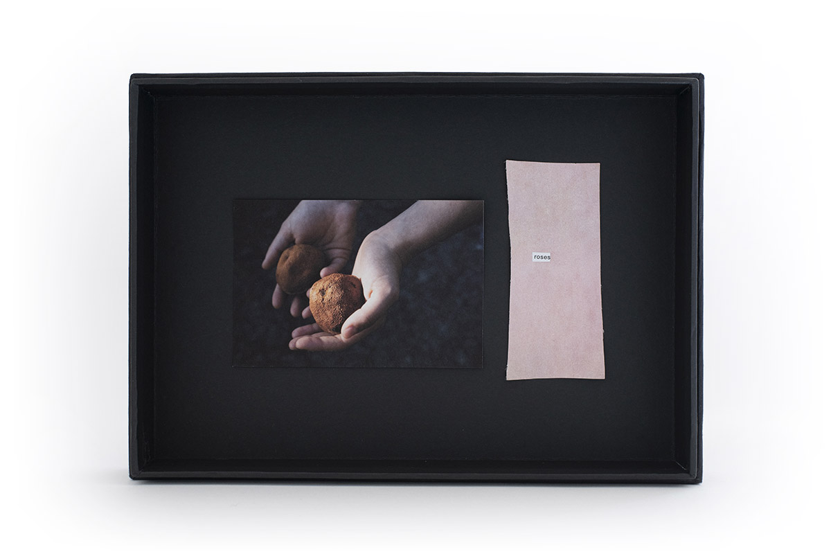 Fragment de corps, mains, roses, oranges, finitudes, pourrissement, offrande, ombres et lumières, nature morte, femme, tirage papier kozo.