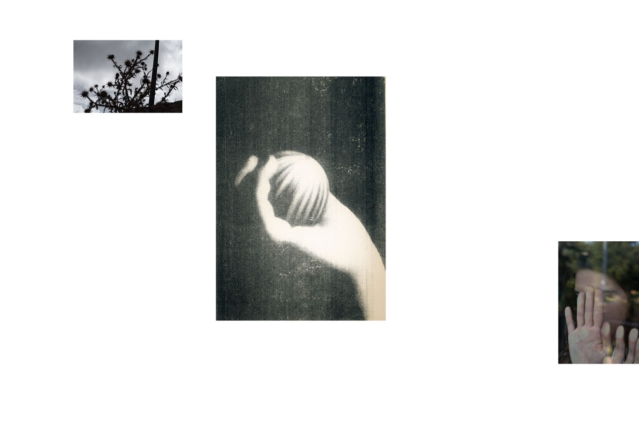 Corinne Deniel, Incessante finitude, 5 Chardon. Jeter. Se protéger. Attaquer.