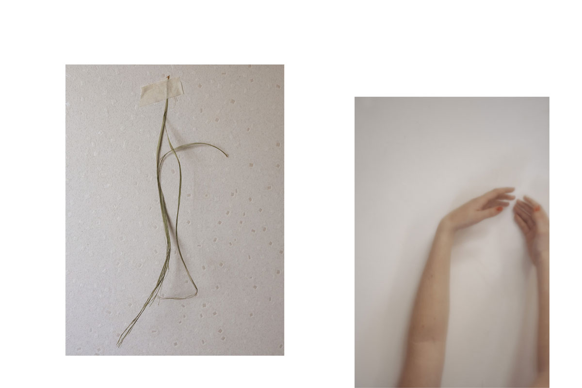 Fragment de corps, fragment de plante. Je caresse le silence, série de photographies de Corinne Deniel.