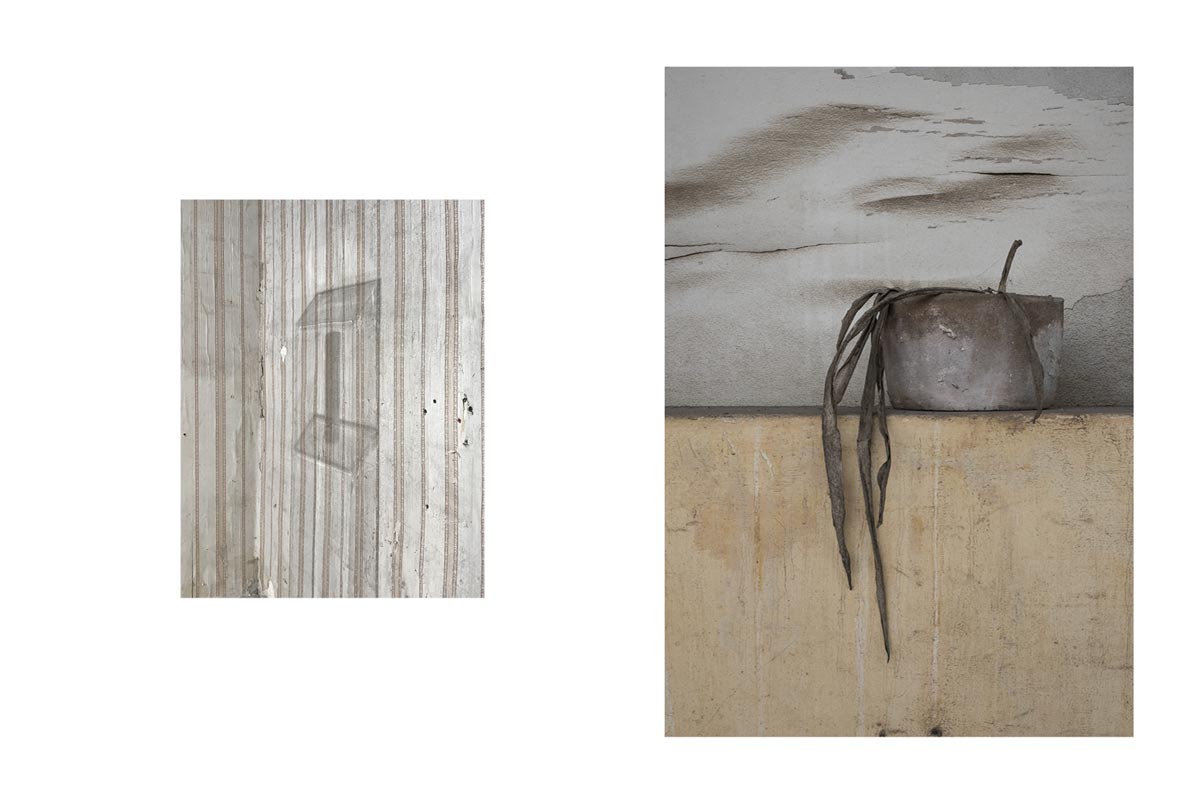 Natures mortes, empreinte murale, fleur fanée. Tout est calme, série d'images photographiques de Corinne Deniel.