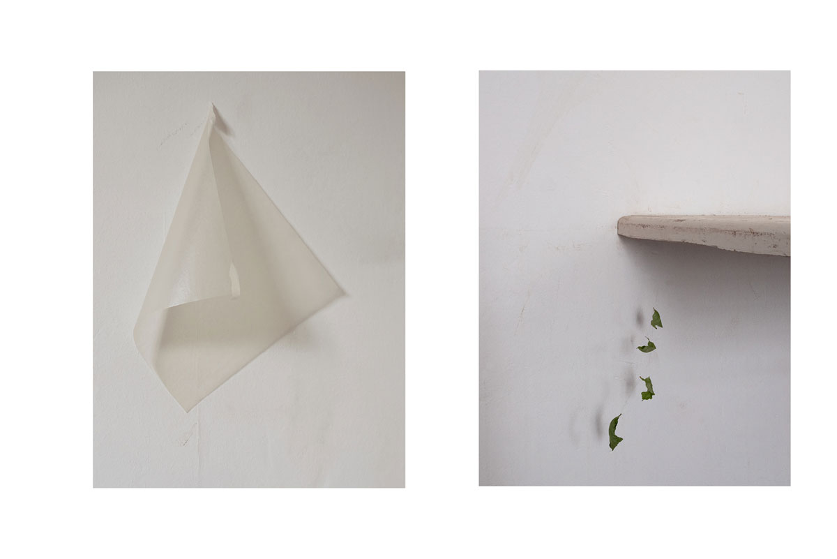 Feuille de papier accrochée, feuilles végétales flottantes. Tout est calme, série d'images photographiques de Corinne Deniel.