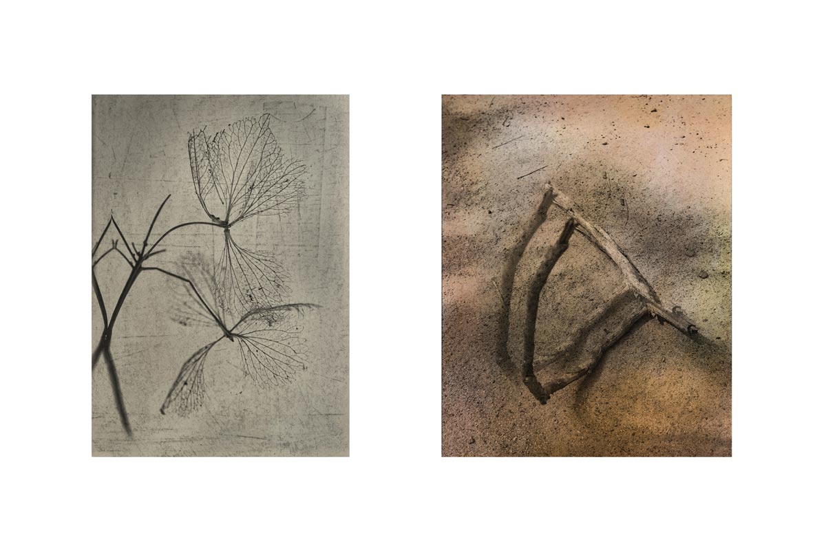 Porosité(s), série d'objets photographiques de Corinne Deniel.