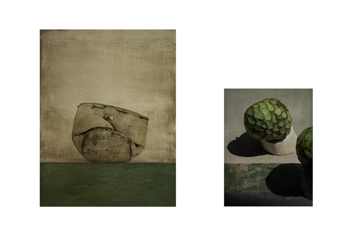 Porosité(s), série d'objets photographiques de Corinne Deniel.